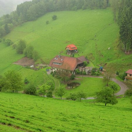 Cosy Farmhouse Apartment At The Edge Of The Forest Mühlenbach Extérieur photo