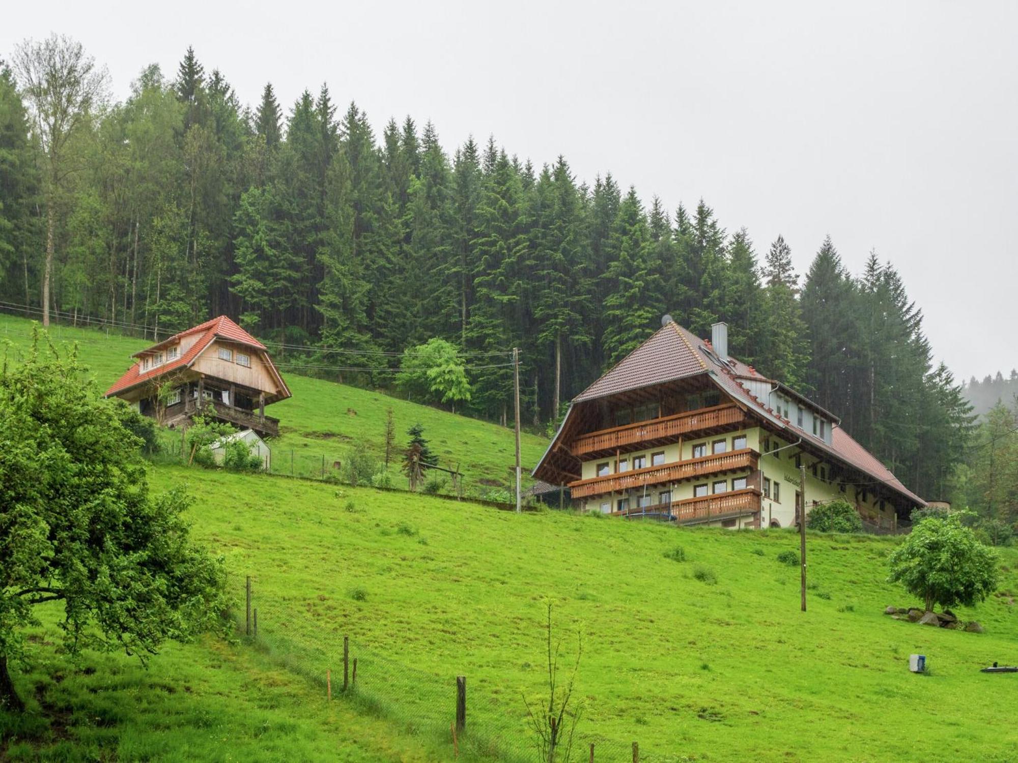Cosy Farmhouse Apartment At The Edge Of The Forest Mühlenbach Extérieur photo